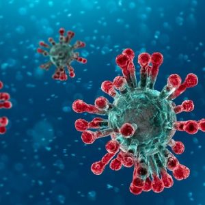Hiểu thêm về dịch virus corona Vũ Hán